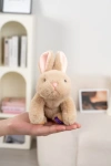 Genuine "Unusual Baby" plush toy, 18cm, Xiangxiang Sanzi, Xiaomi Rabbit, cute bed doll, Sanzi pet doll, raccoon table with fragrance details Picture